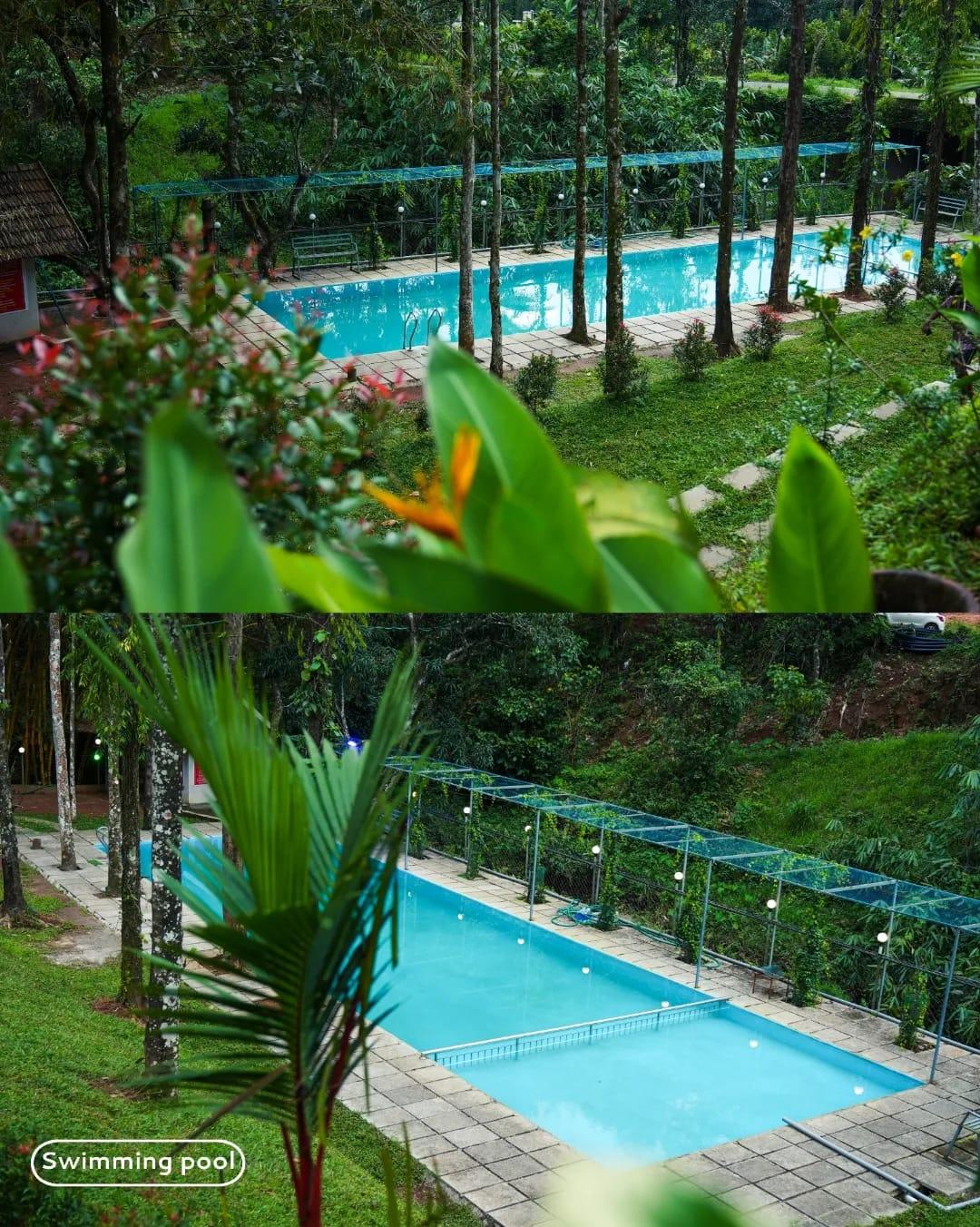 Nature Cascade Resort x Solis Nature