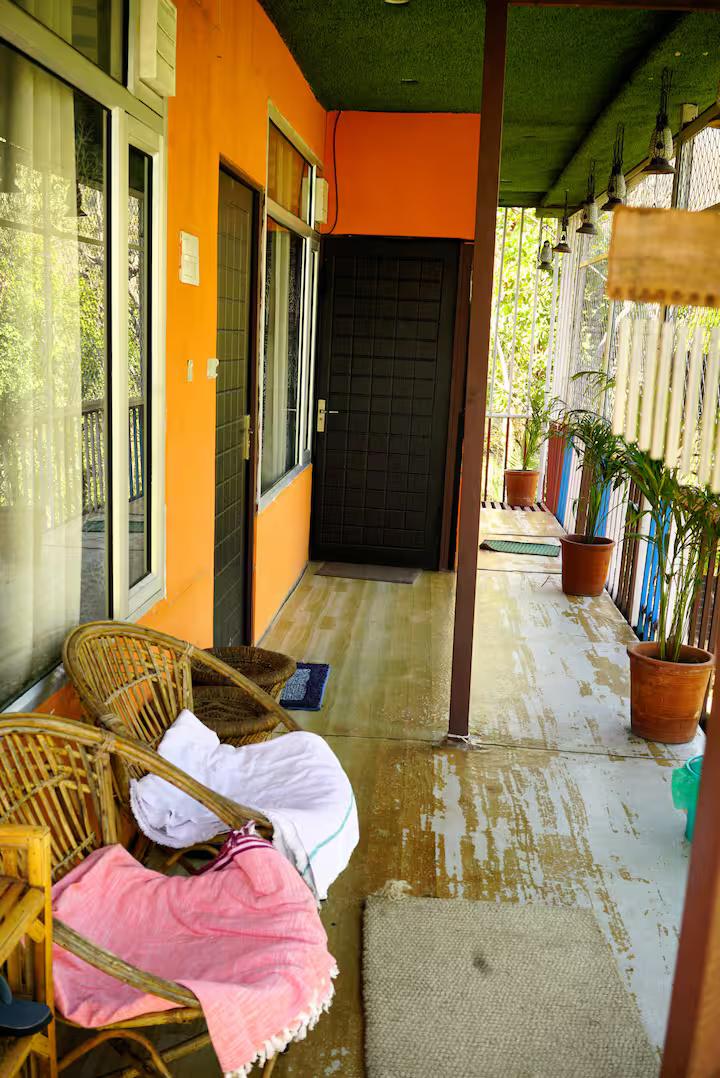 Aaron: Cheerful Place In the Forest x Solis Nature