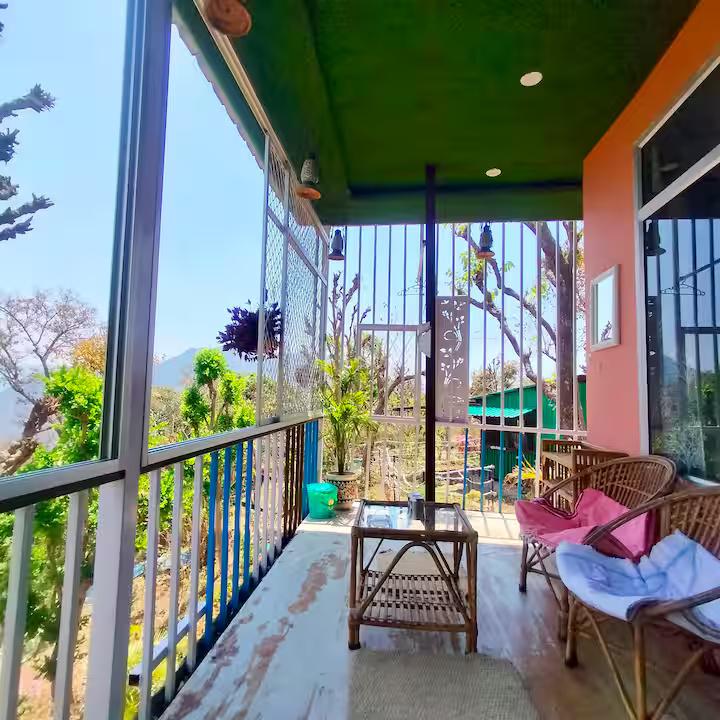 Aaron: Cheerful Place In the Forest x Solis Nature