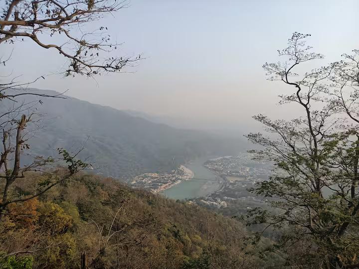 Aaron: Cheerful Place In the Forest x Solis Nature