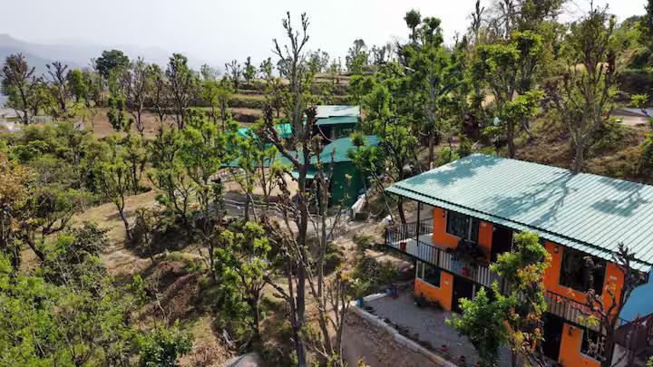 Aaron: Cheerful Place In the Forest x Solis Nature