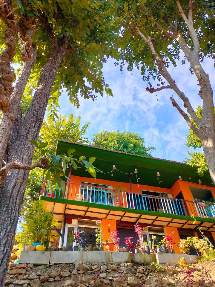 Aaron: Cheerful Place In the Forest x Solis Nature