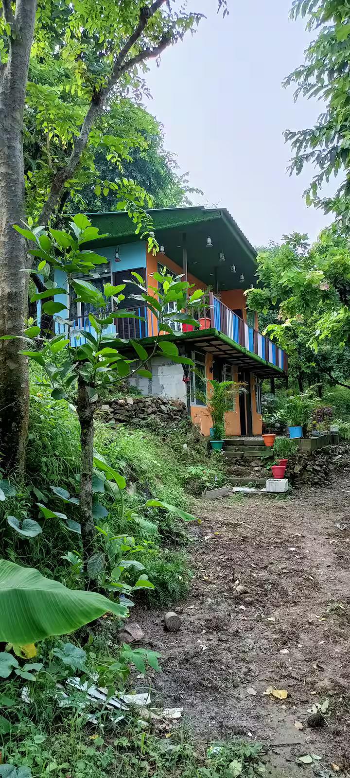 Aaron: Cheerful Place In the Forest x Solis Nature