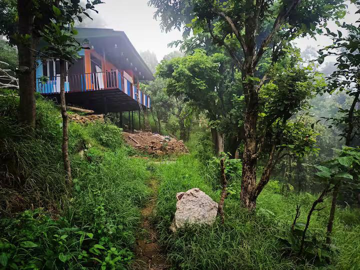 Aaron: Cheerful Place In the Forest x Solis Nature