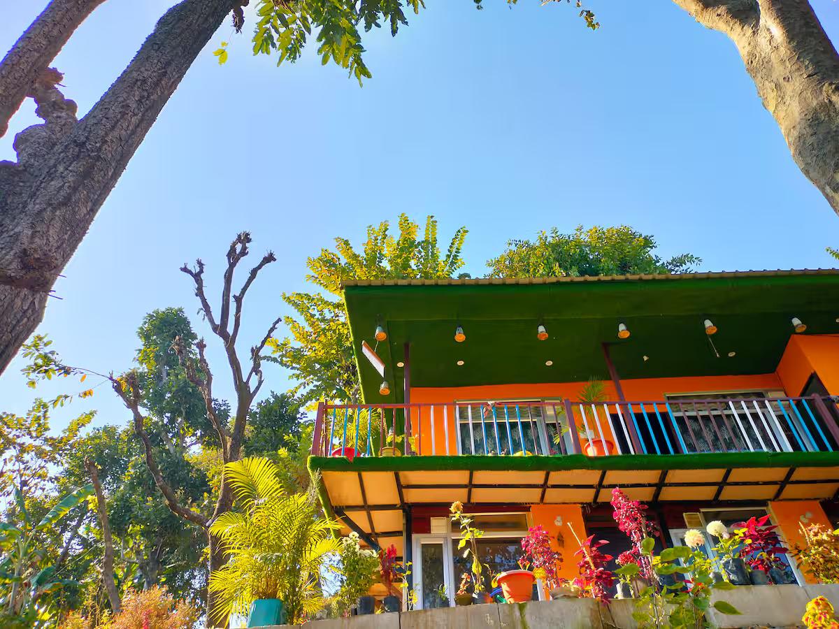 Aaron: Cheerful Place In the Forest x Solis Nature