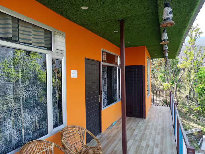 Aaron: Cheerful Place In the Forest x Solis Nature