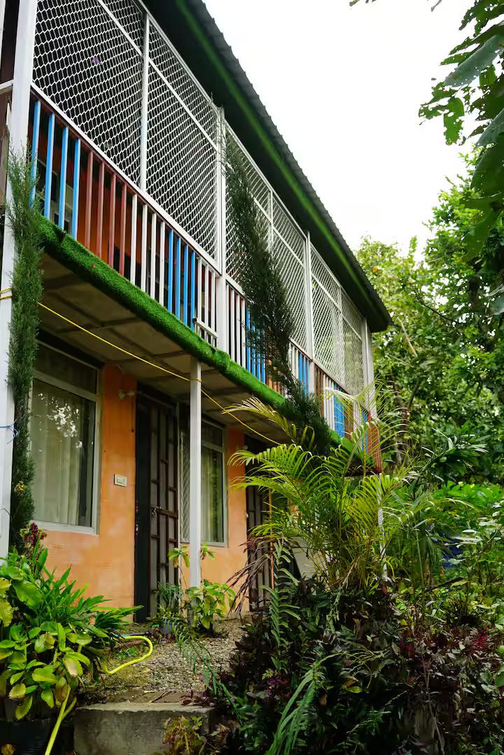 Aaron: Cheerful Place In the Forest x Solis Nature