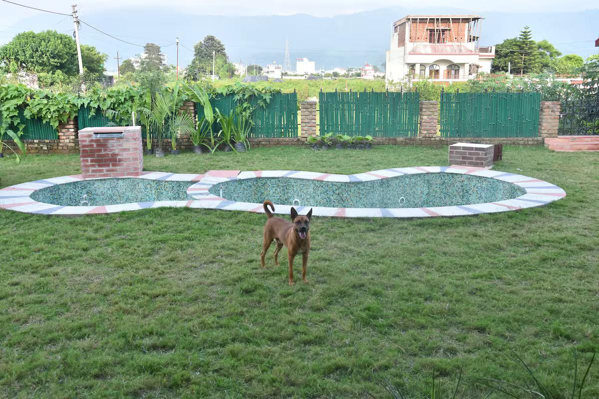 Aasana Rishikesh x Solis Nature