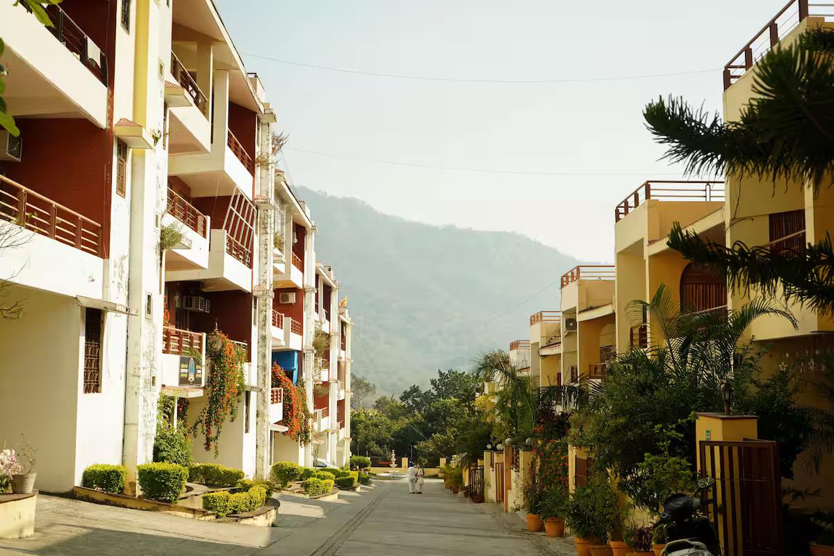 The Basera x Solis Nature