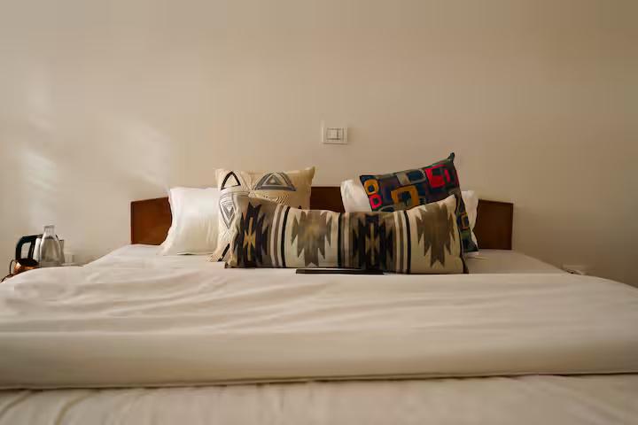 The Basera x Solis Nature