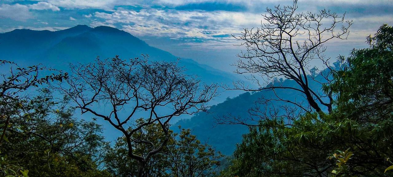 Neerville Glamping x Solis Nature