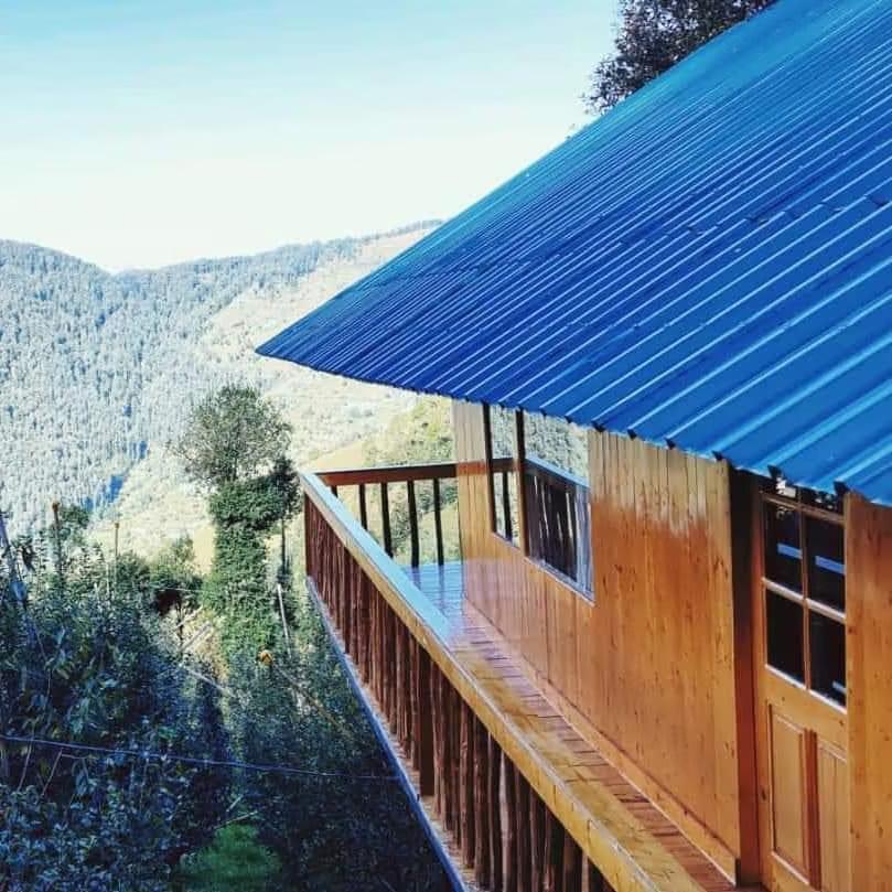 Tree Nest Resort by The HFE x Solis Nature