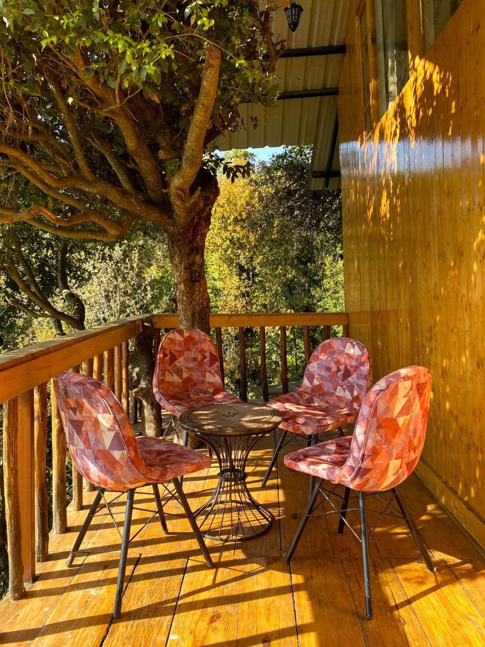 Tree Nest Resort by The HFE x Solis Nature