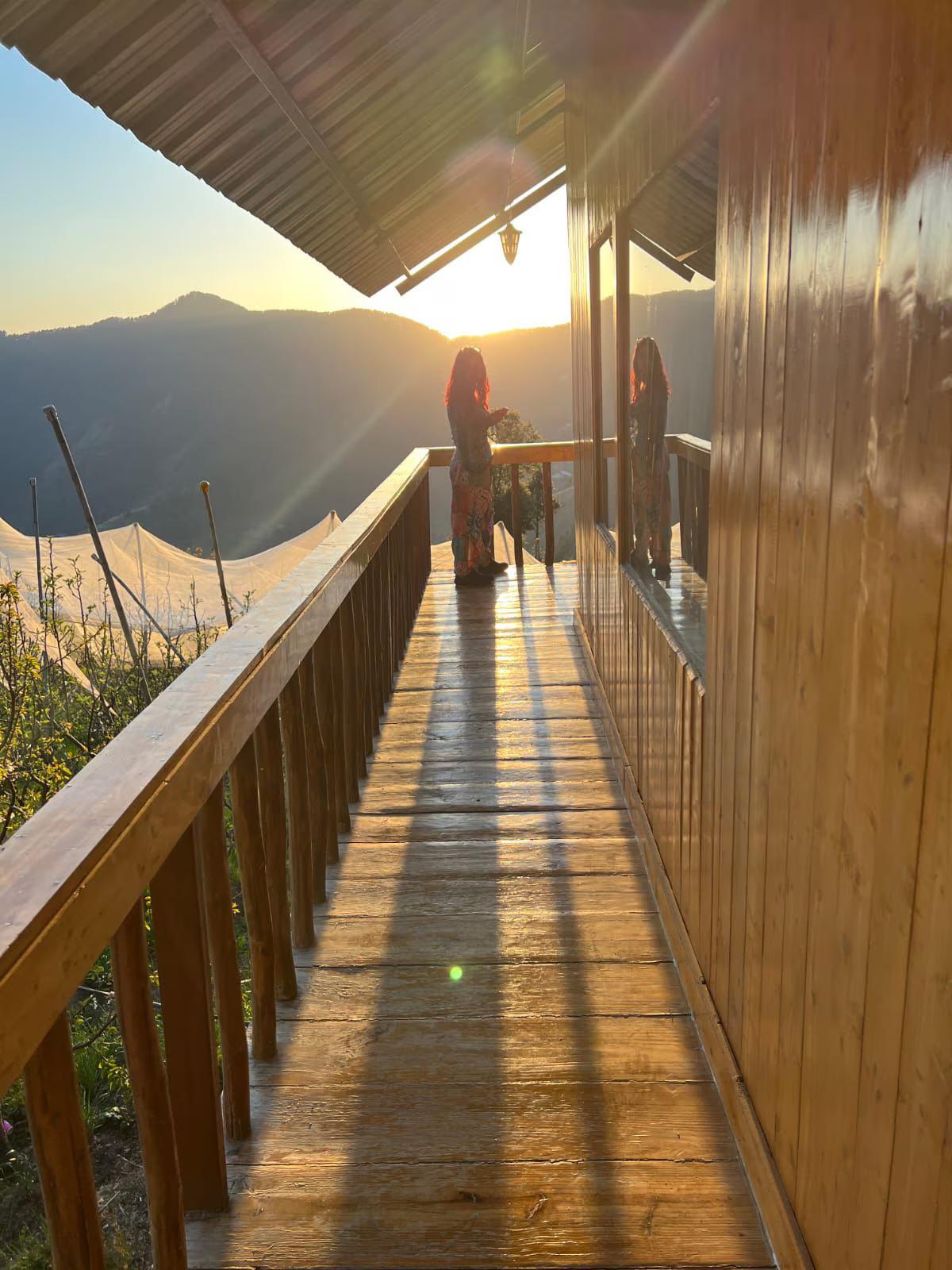 Tree Nest Resort by The HFE x Solis Nature