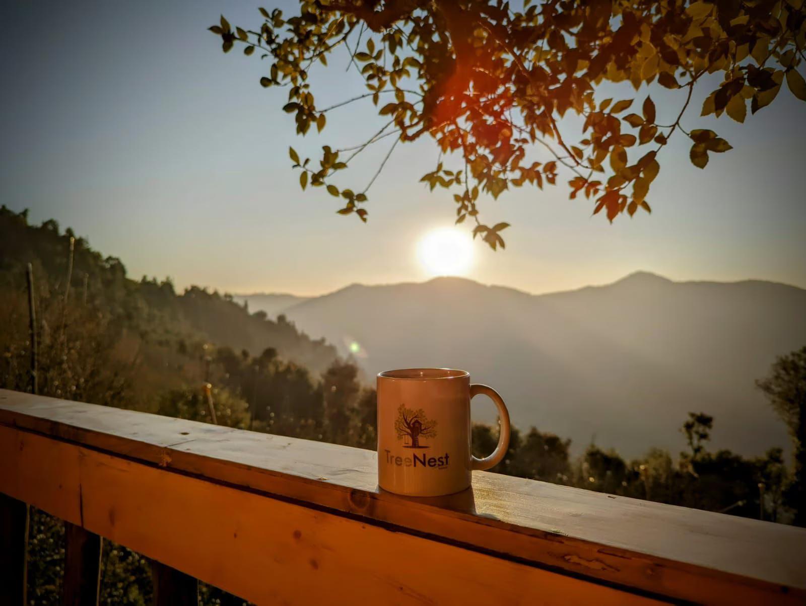 Tree Nest Resort by The HFE x Solis Nature