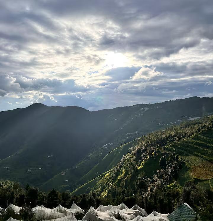 Tree Nest Resort by The HFE x Solis Nature