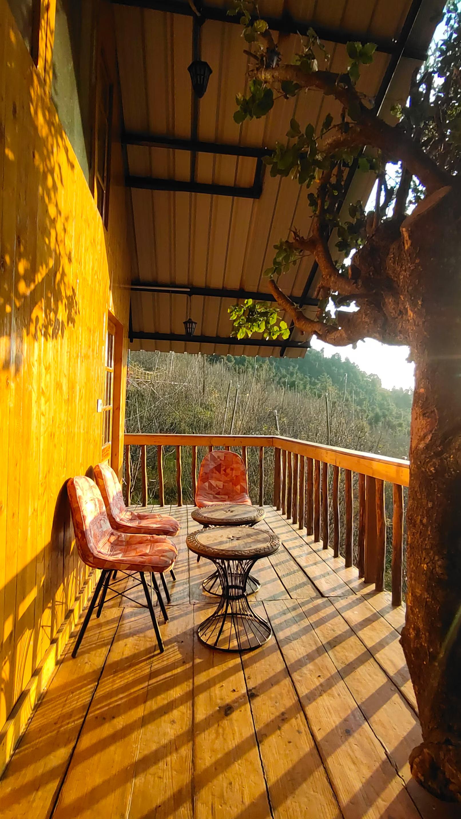 Tree Nest Resort by The HFE x Solis Nature