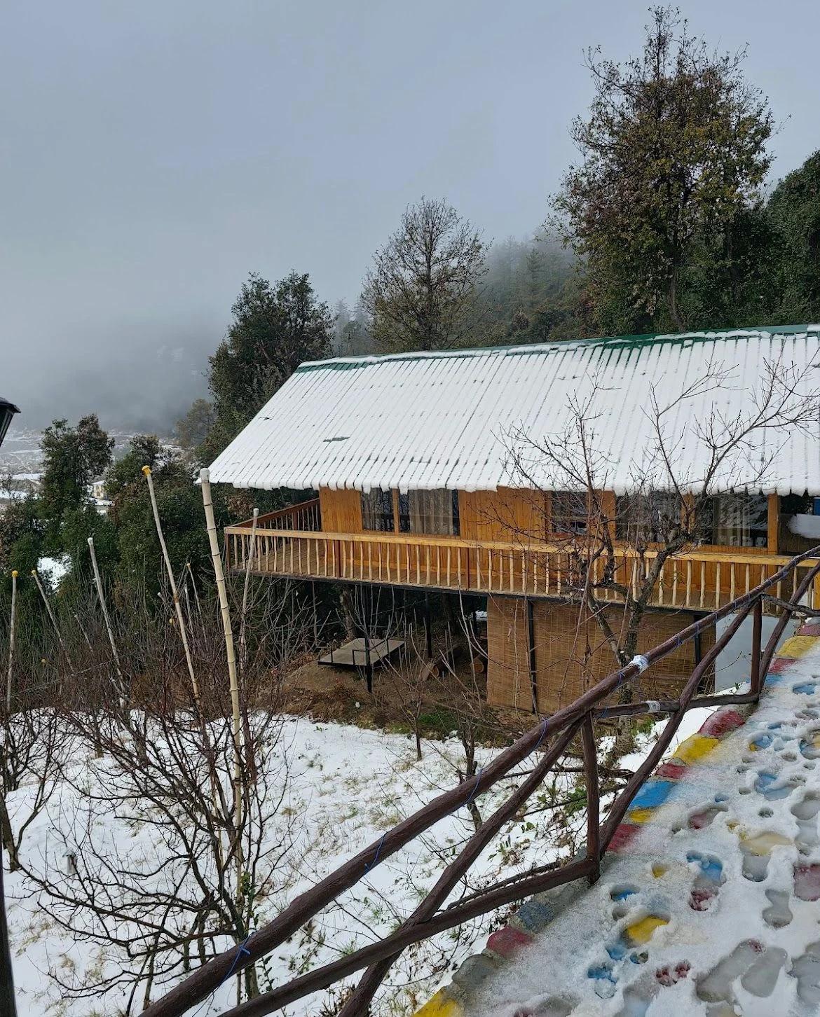 Tree Nest Resort by The HFE x Solis Nature