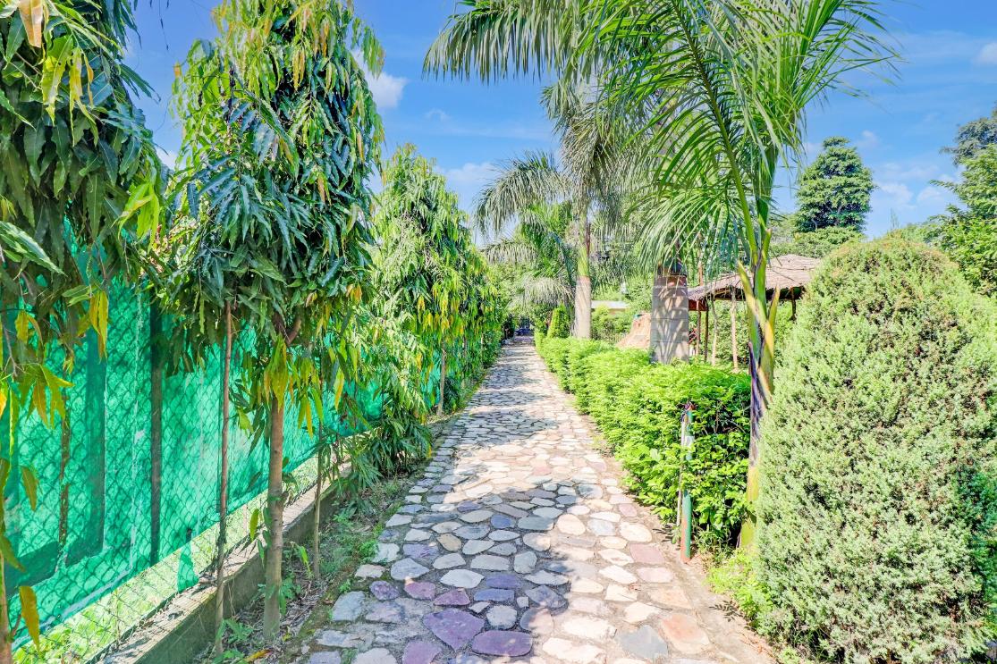 Rajaji Wild Trail Resort x Solis Nature