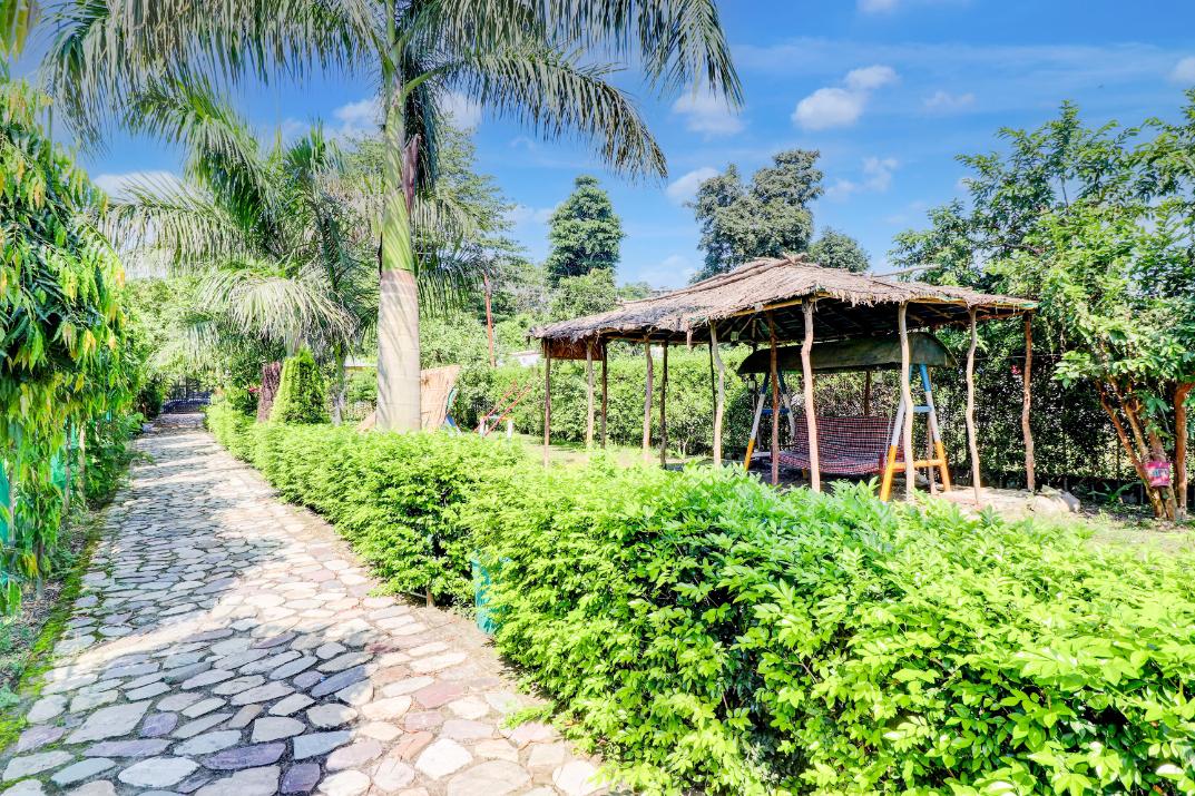 Rajaji Wild Trail Resort x Solis Nature