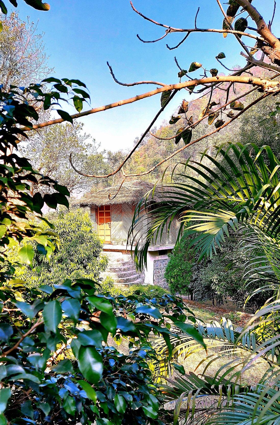 Rishis International x Solis Nature