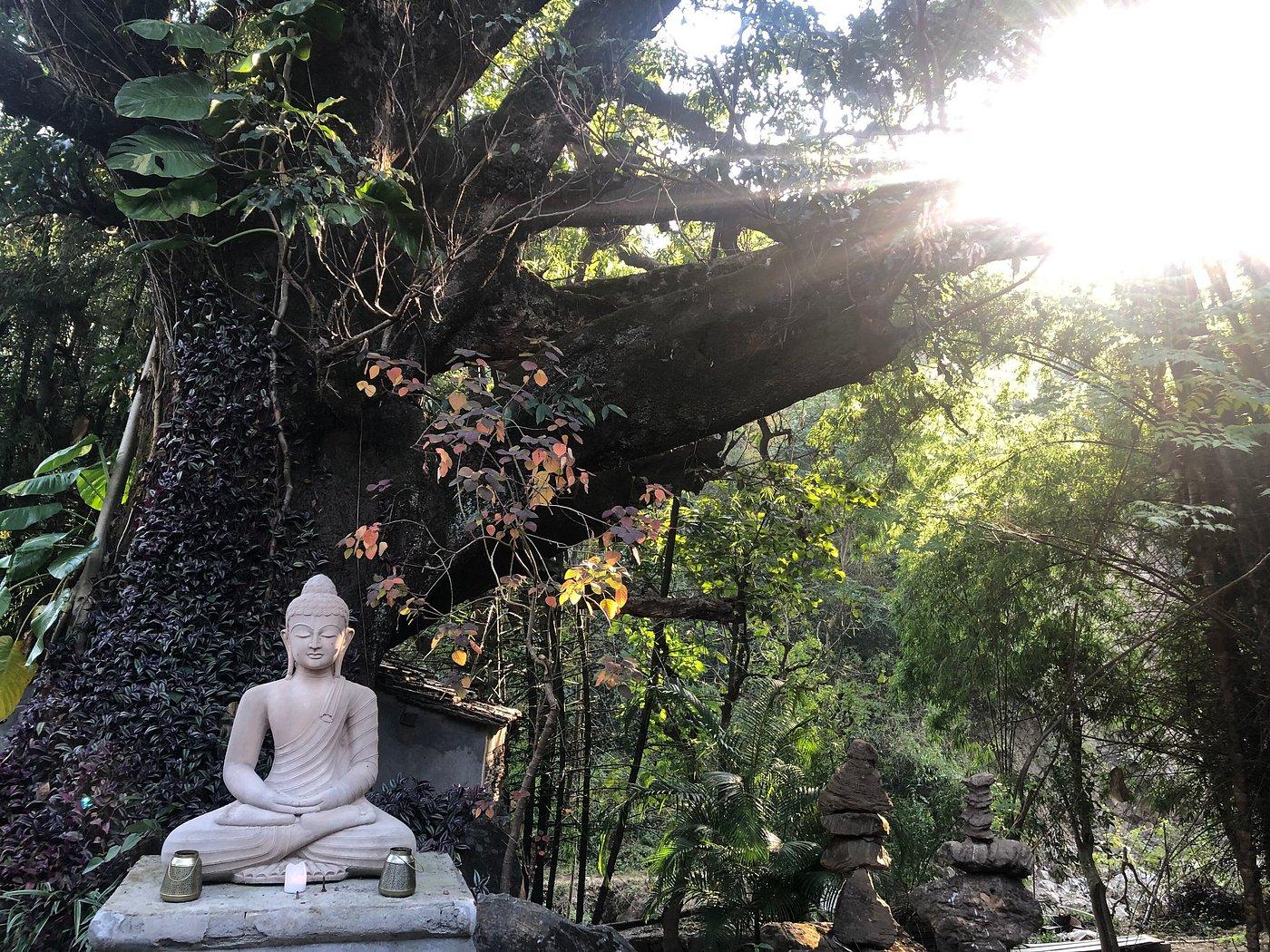 Rishis International x Solis Nature