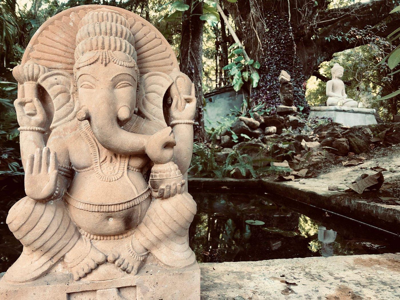 Rishis International x Solis Nature