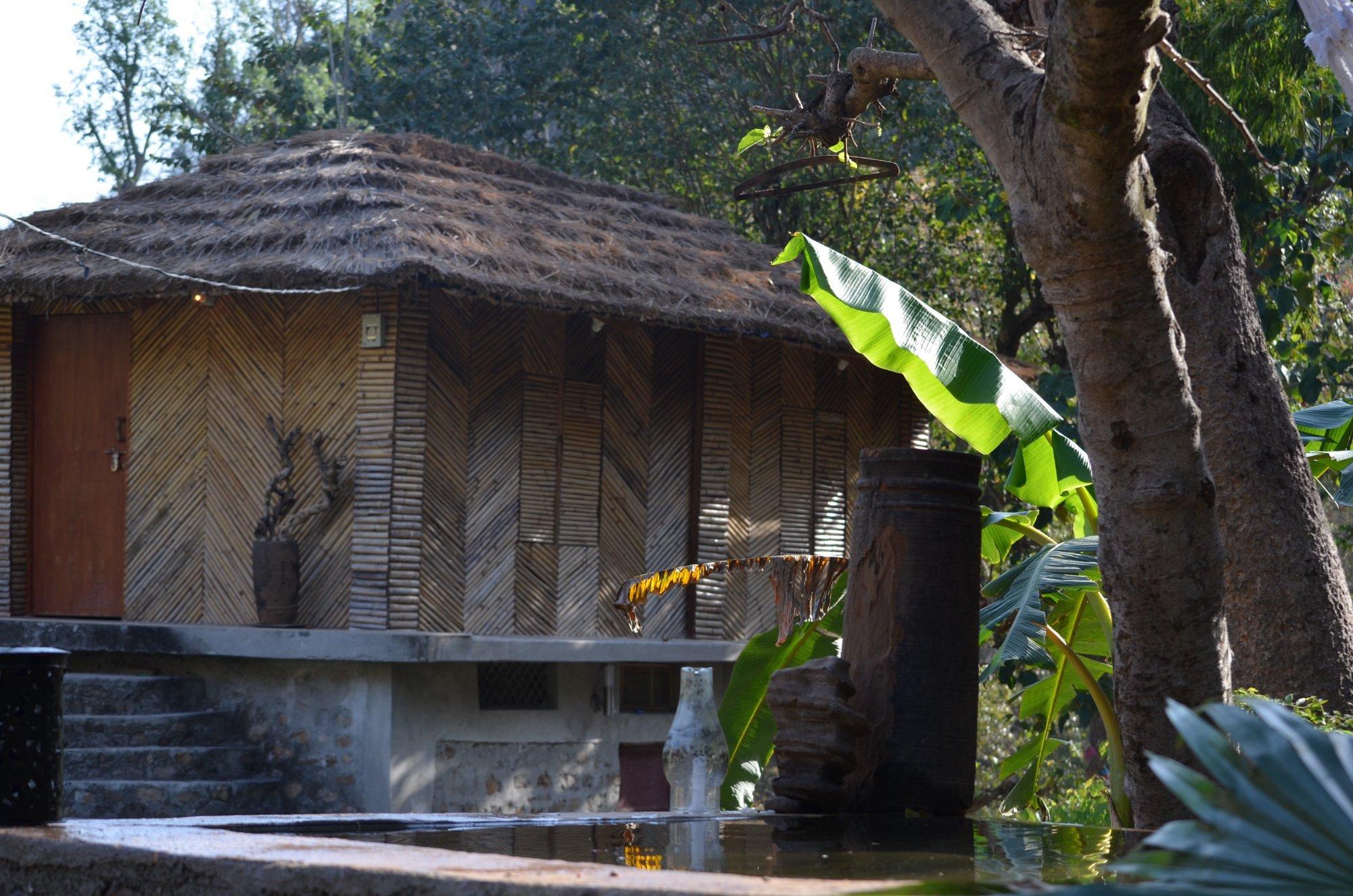 Rishis International x Solis Nature