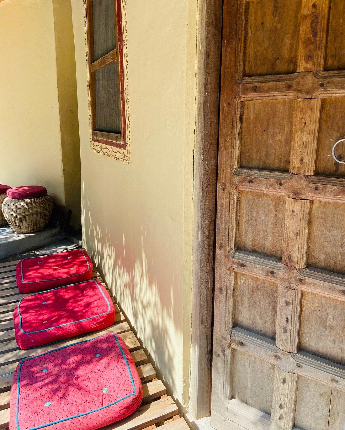 Rishis International x Solis Nature