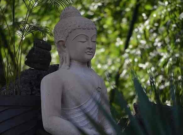 Rishis International x Solis Nature