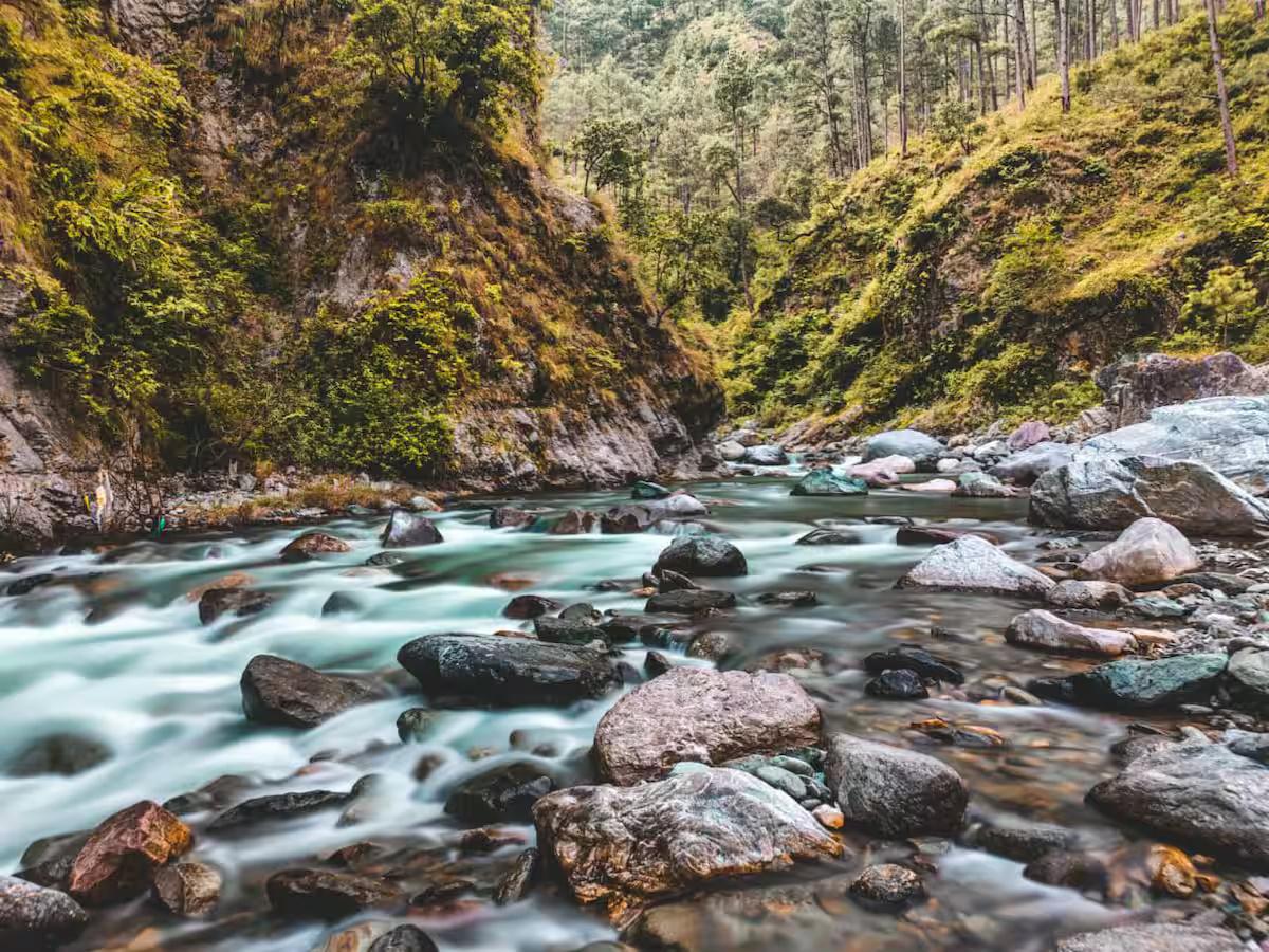 LUXURY SWISS SAFARI TENTS x Solis Nature