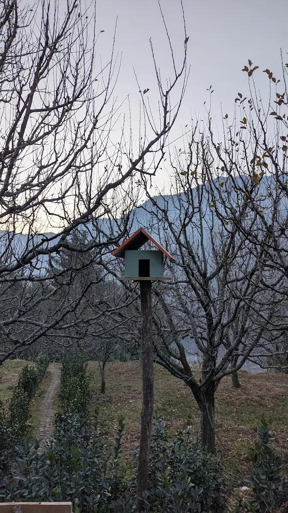 Tiny Yety Homes x Solis Nature