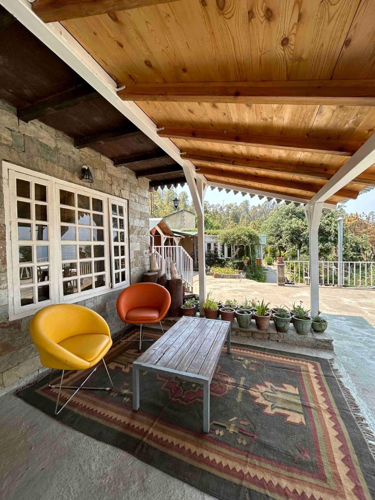 Frozen Woods x Solis Nature