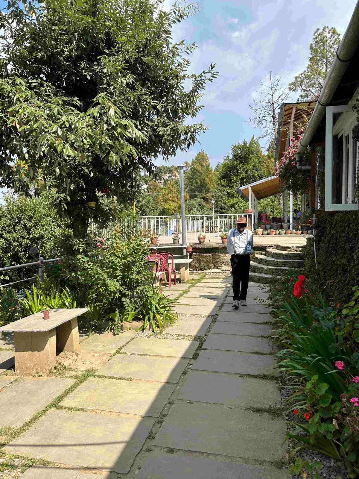 Frozen Woods x Solis Nature