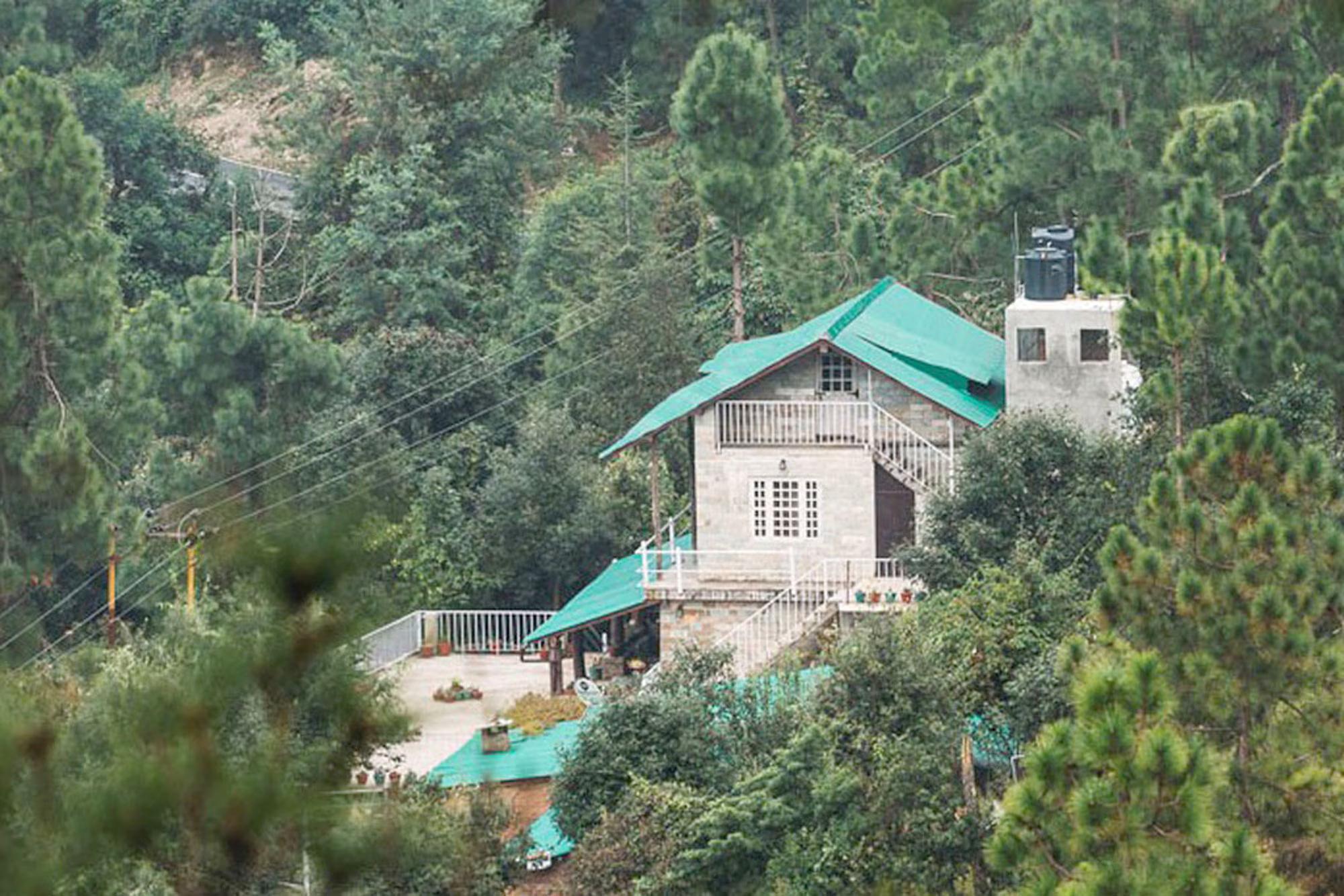 Frozen Woods x Solis Nature