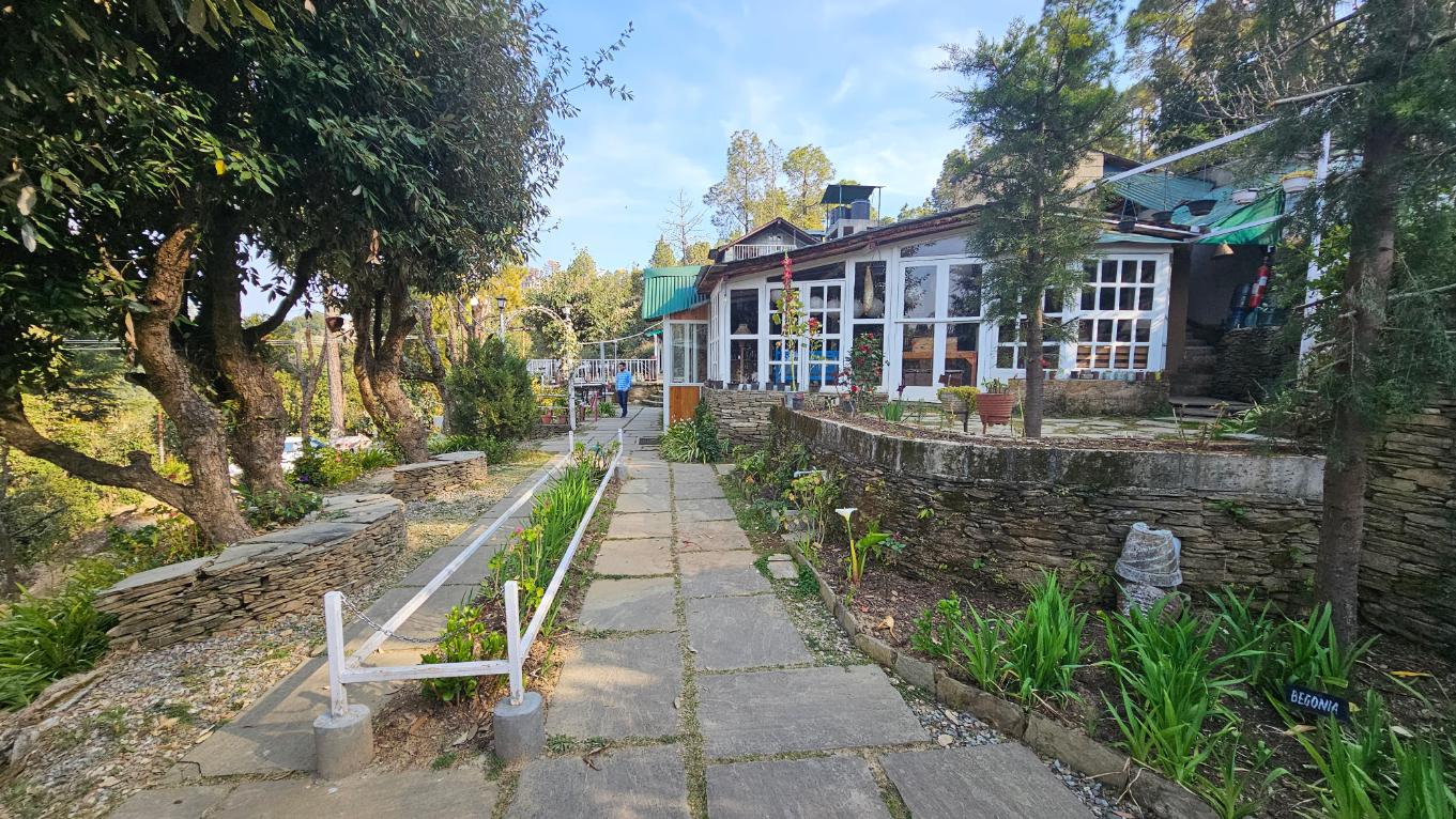 Frozen Woods x Solis Nature