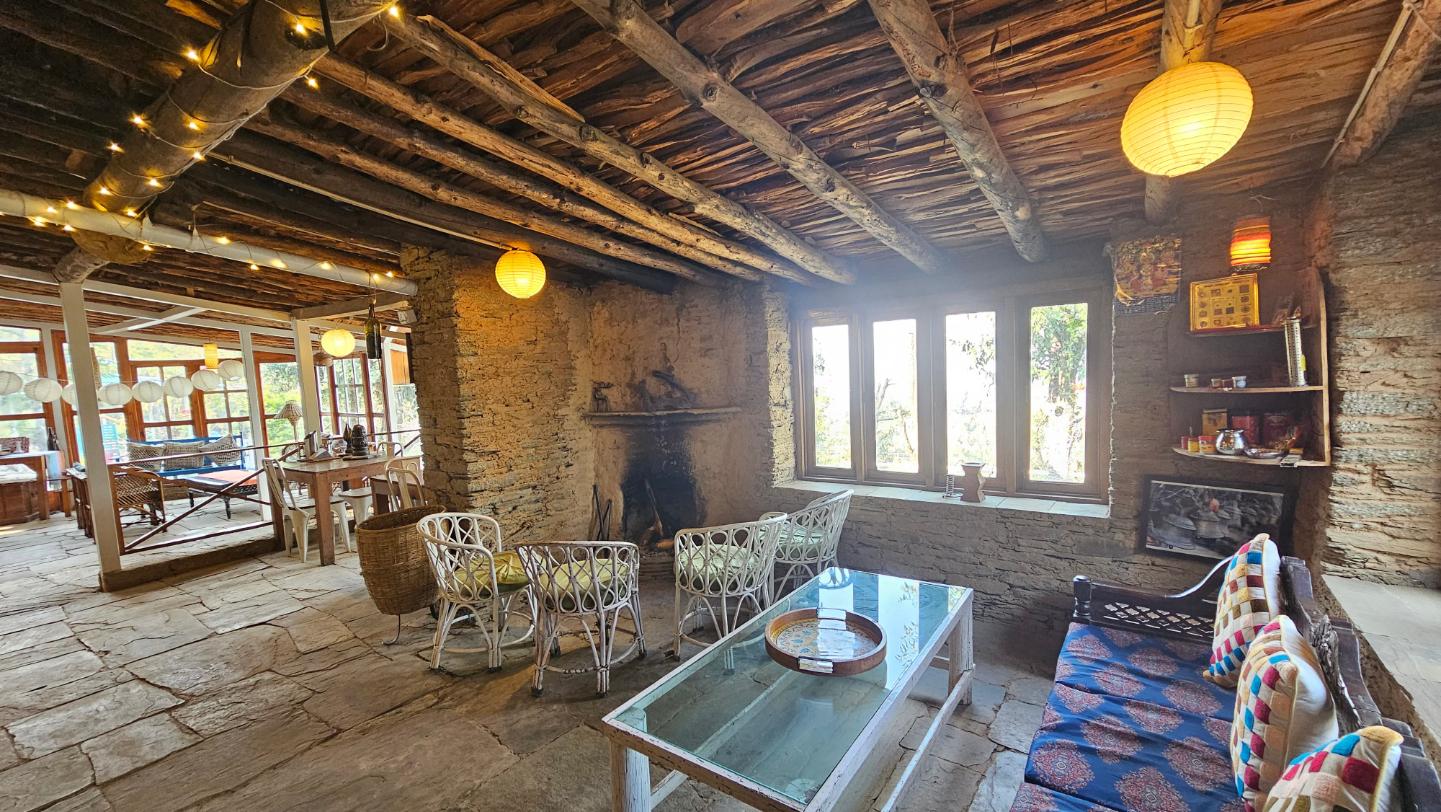 Frozen Woods x Solis Nature