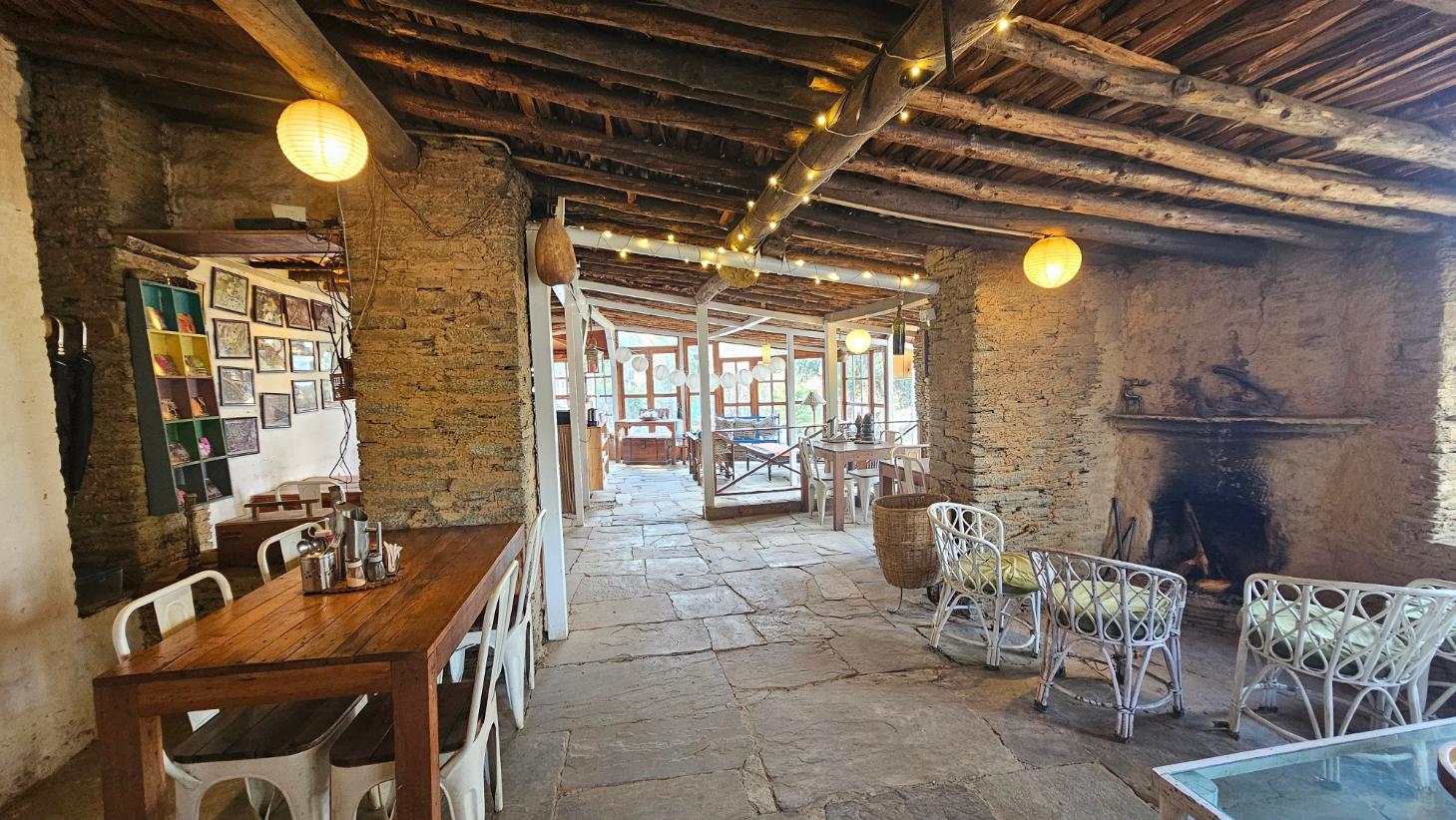 Frozen Woods x Solis Nature