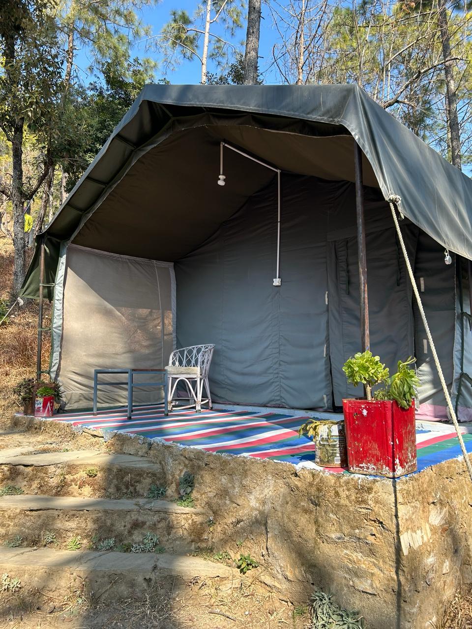 Swiss Safari Tents x Solis Nature