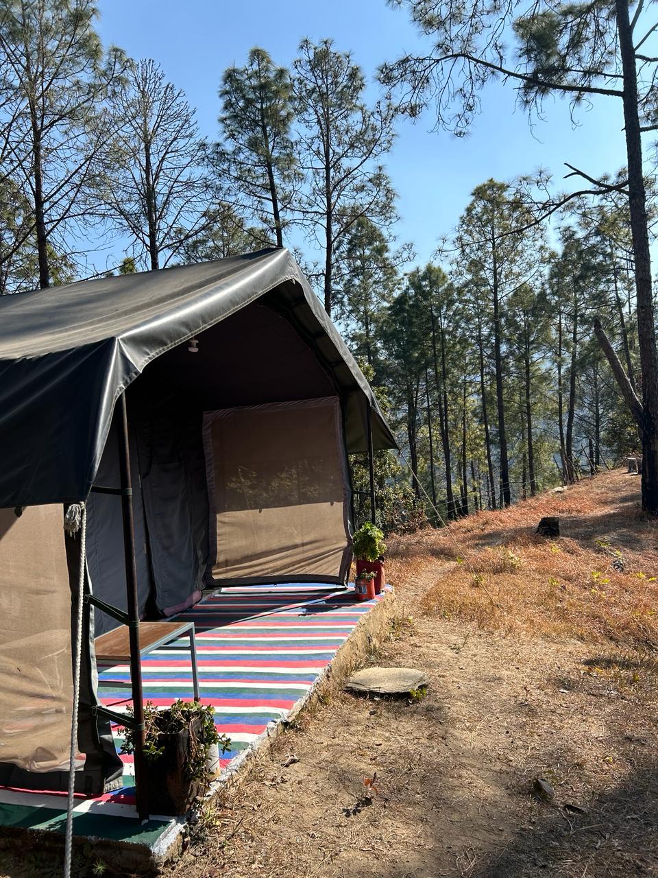 Swiss Safari Tents x Solis Nature