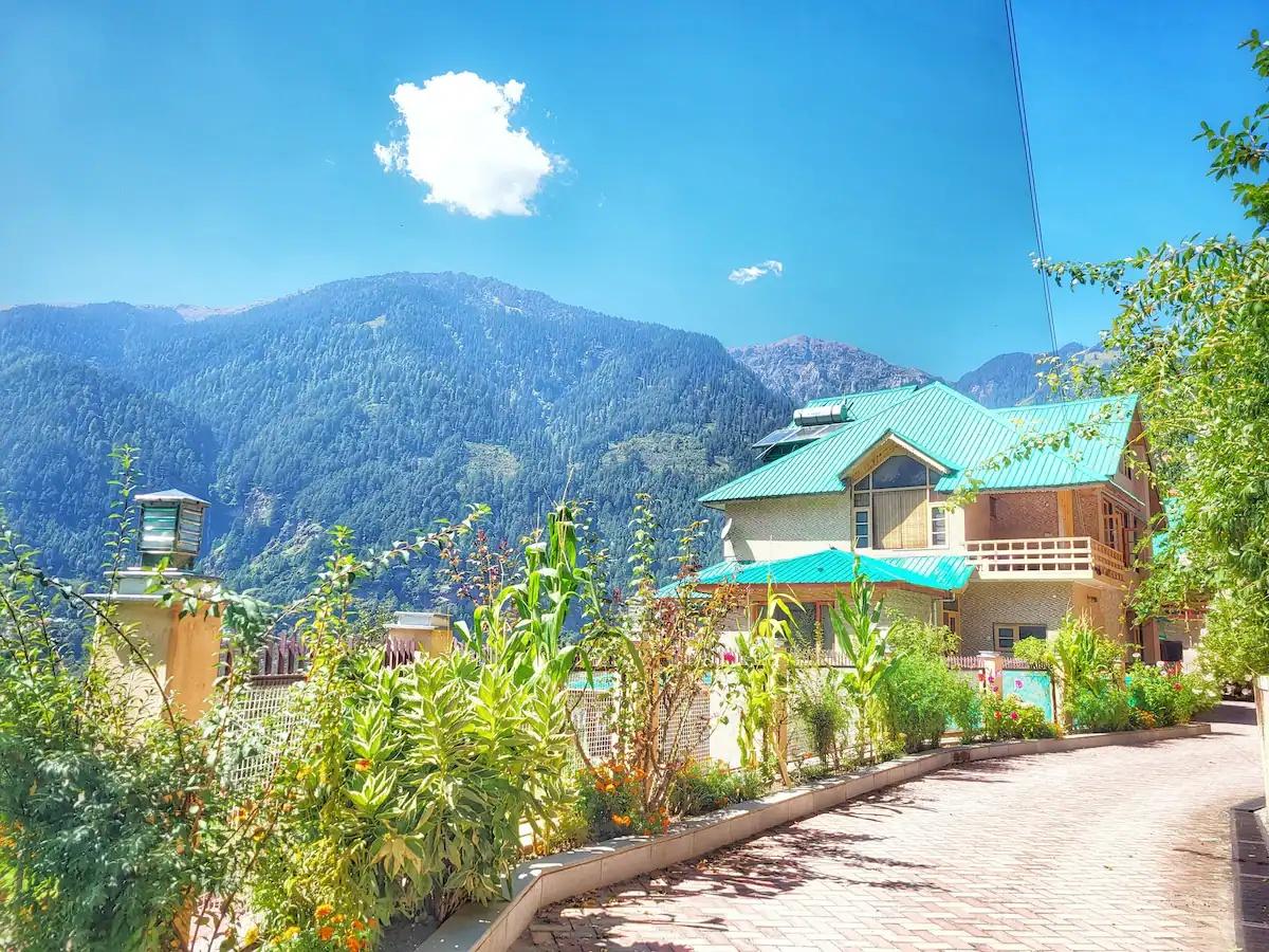 1965's Rustic Chalet Cottage x Solis Nature