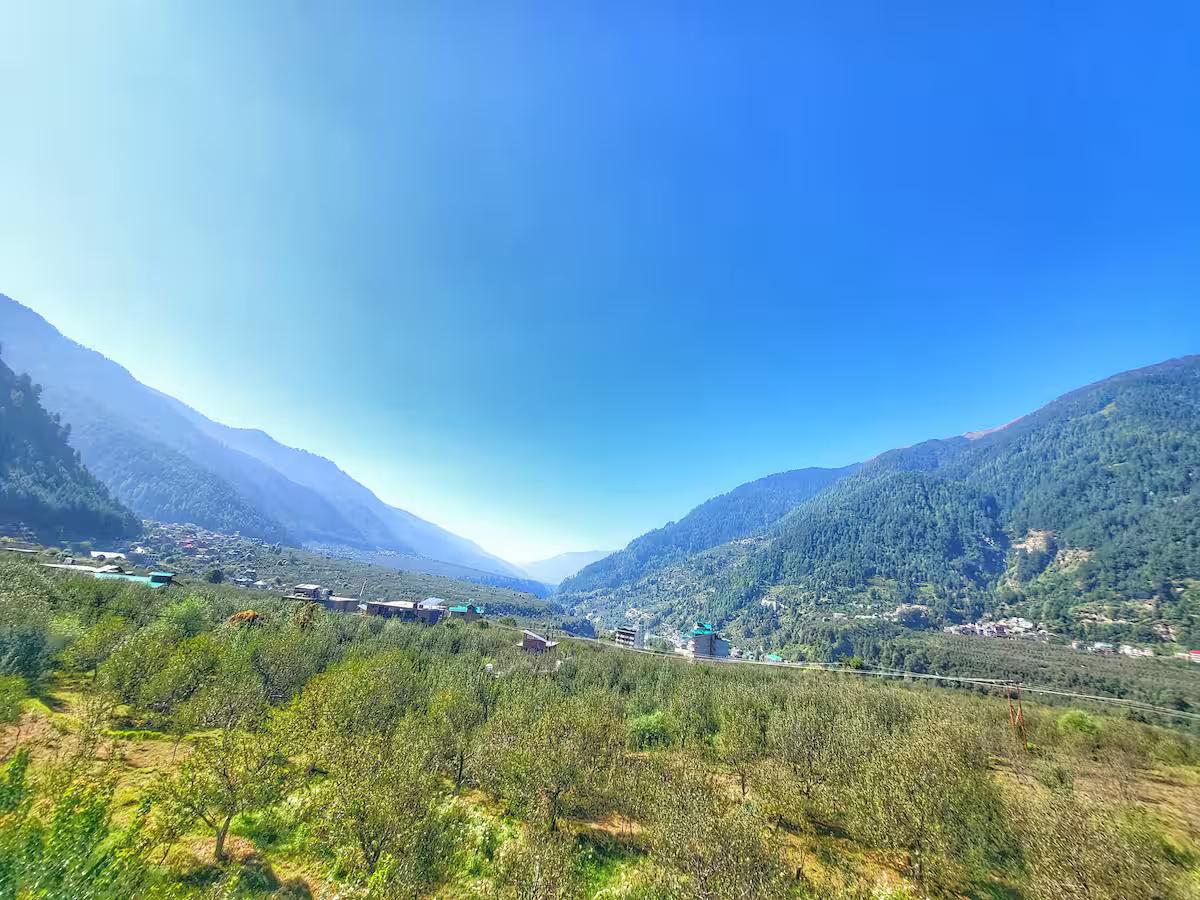 1965's Rustic Chalet Cottage x Solis Nature