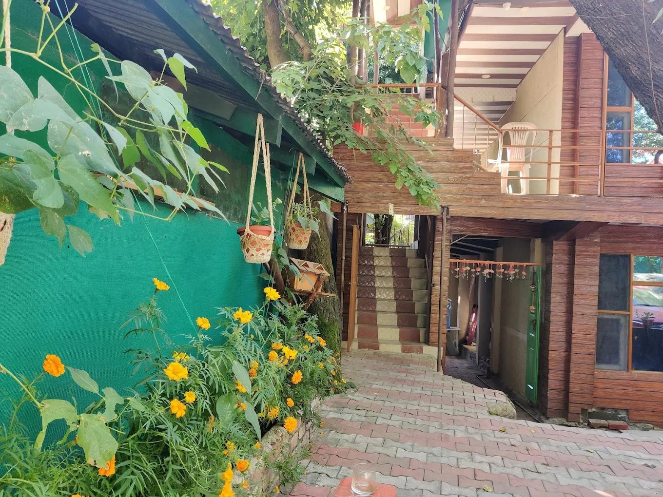 Hotel The 1965 x Solis Nature