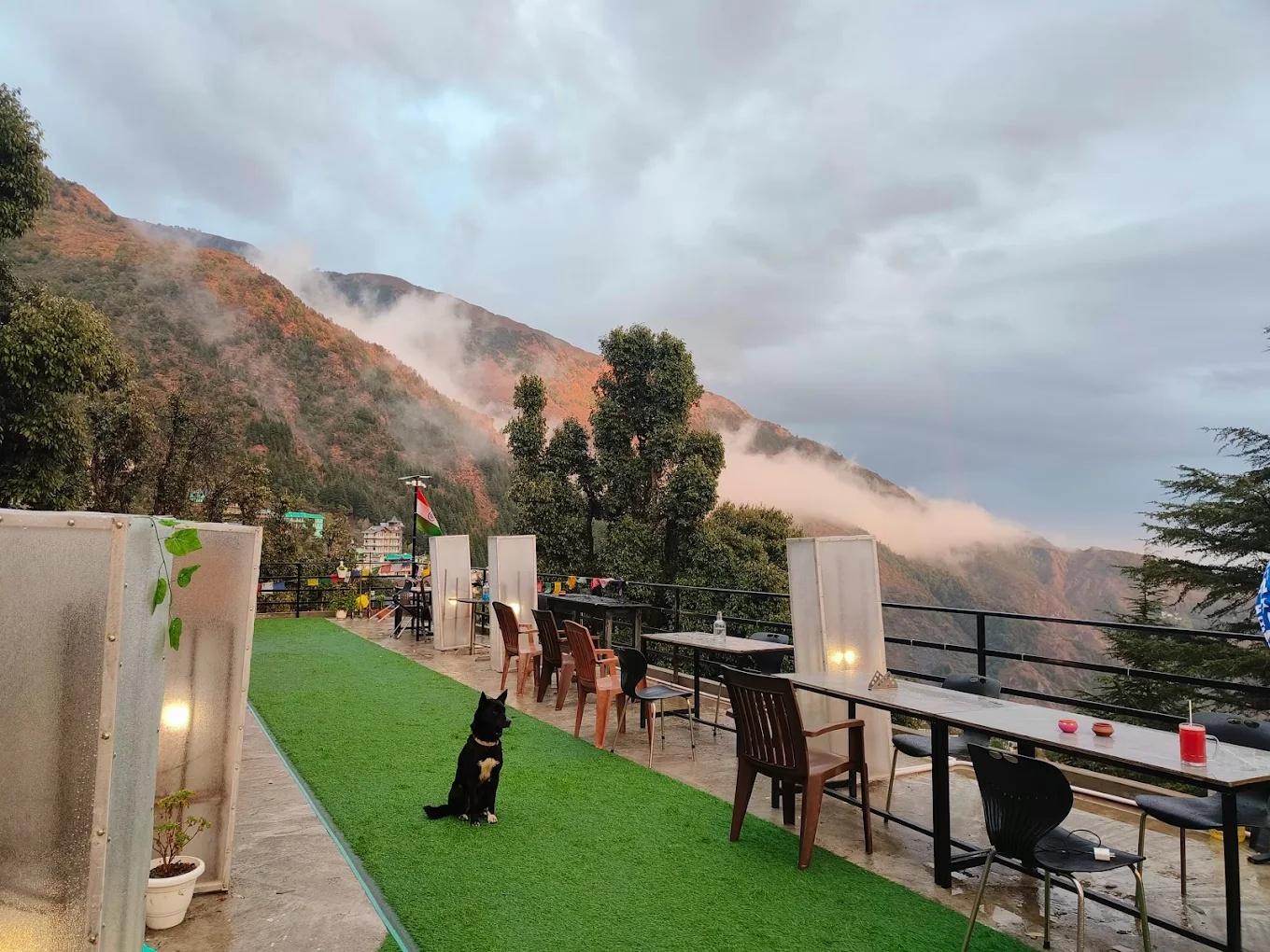 The Unmad Dharamkot x Solis Nature