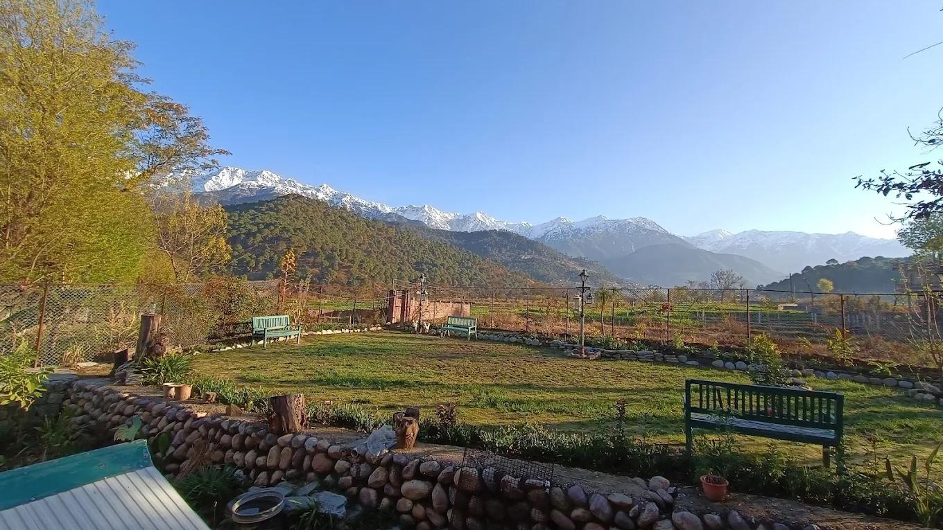 Chinar Chalet x Solis Nature