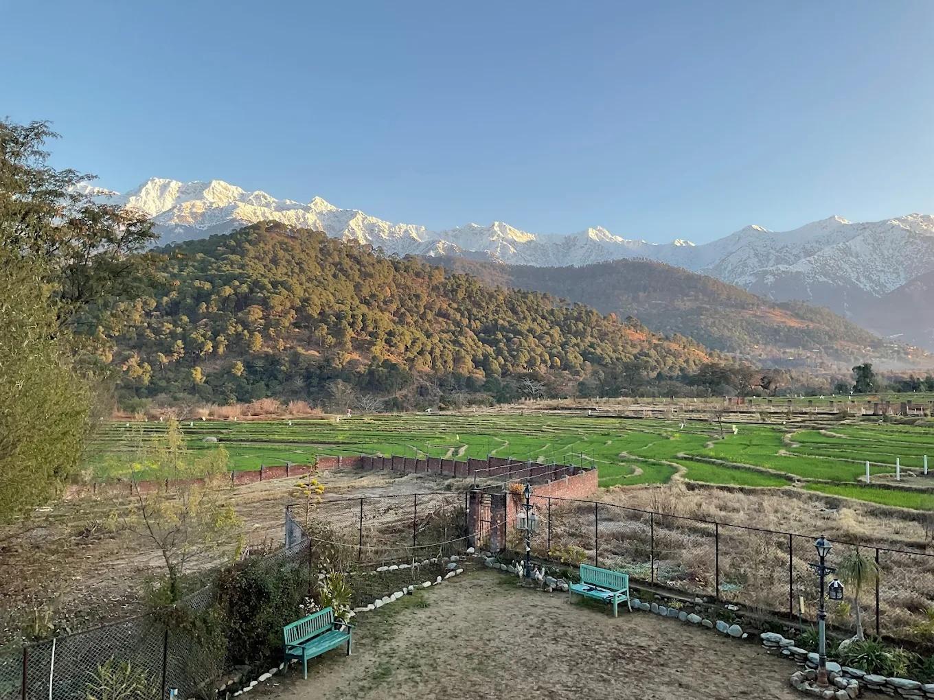 Chinar Chalet x Solis Nature