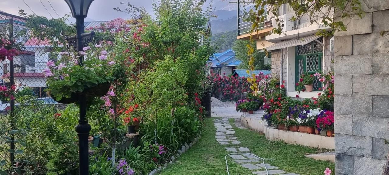 Chinar Chalet x Solis Nature