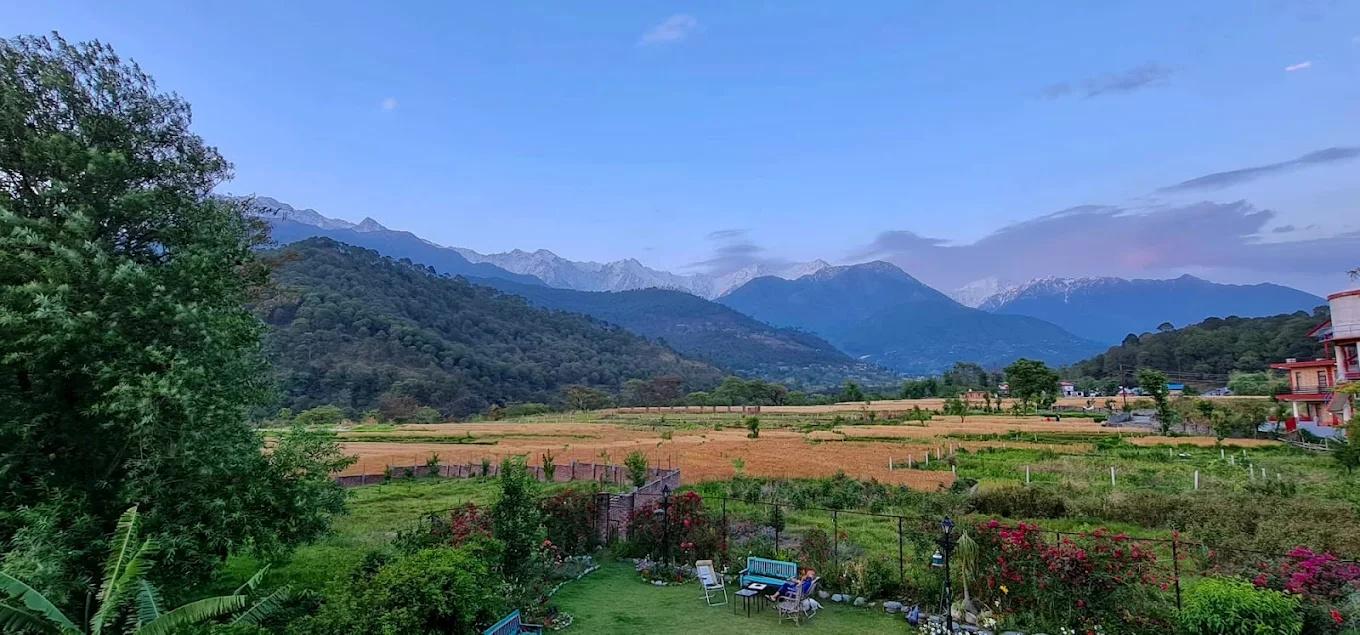 Chinar Chalet x Solis Nature