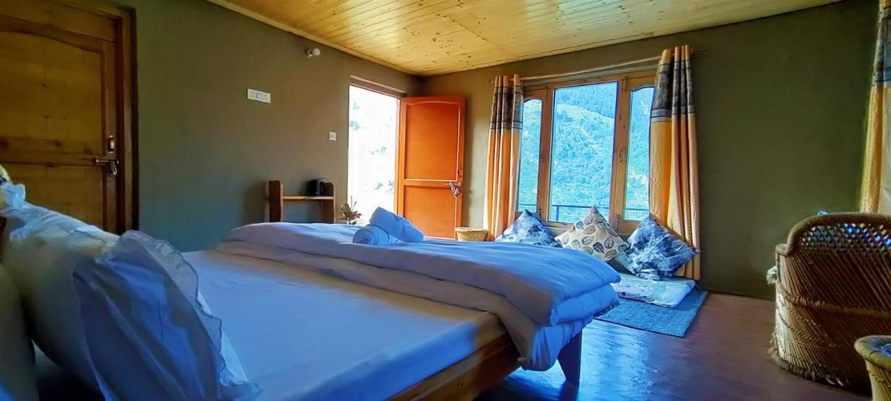 Dhauladhar Woodhouse x Solis Nature