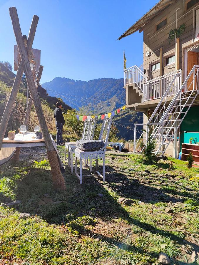 Dhauladhar Woodhouse x Solis Nature